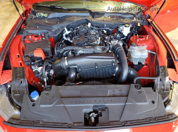 1FA6P8TH7R5118588 2024 FORD MUSTANG Red Rear interior view