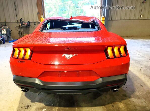 1FA6P8TH7R5118588 2024 FORD MUSTANG Red Rear view