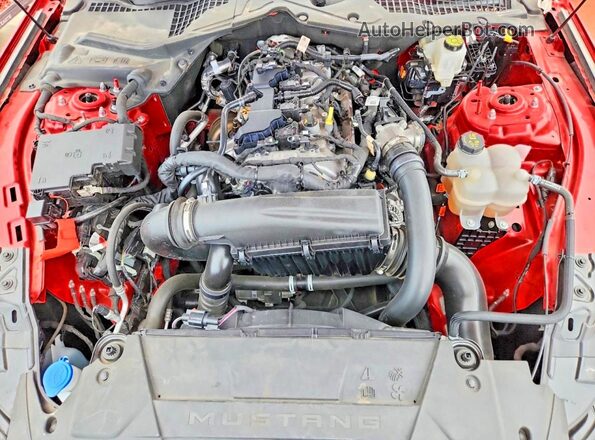 1FA6P8TH7R5120356 2024 FORD MUSTANG Red Vista interior trasera
