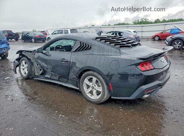 1FA6P8TH7R5122320 2024 FORD MUSTANG Black Tył lewy