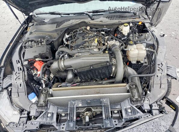 1FA6P8TH7R5122320 2024 FORD MUSTANG Black Widok wnętrza z tyłu