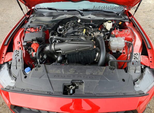 1FA6P8TH7S5123327 2025 FORD MUSTANG Red უკანა სალონის ხედი