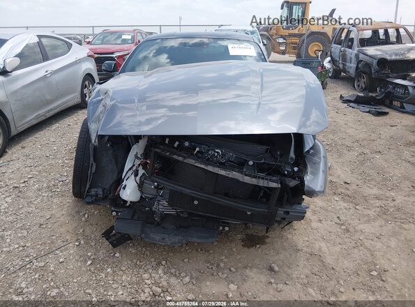 1FA6P8TH7T5100891 2026 FORD MUSTANG Gray Սալոնի հետևի տեսք