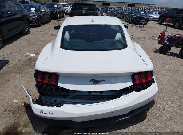 1FA6P8TH7T5113723 2026 FORD MUSTANG White 