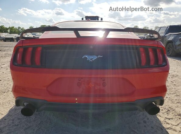 1FA6P8TH8K5168261 2019 FORD MUSTANG Red Հետևի տեսք