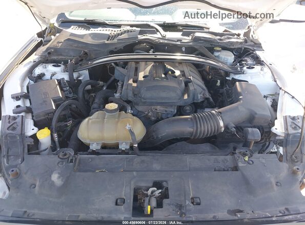 1FA6P8TH8K5169295 2019 FORD MUSTANG White უკანა ხედი
