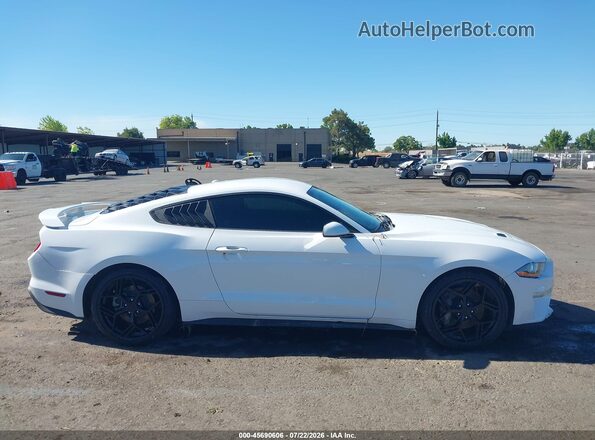 1FA6P8TH8K5169295 2019 FORD MUSTANG White უკანა სალონის ხედი