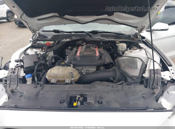 1FA6P8TH8L5139084 2020 FORD MUSTANG White Widok z tyłu