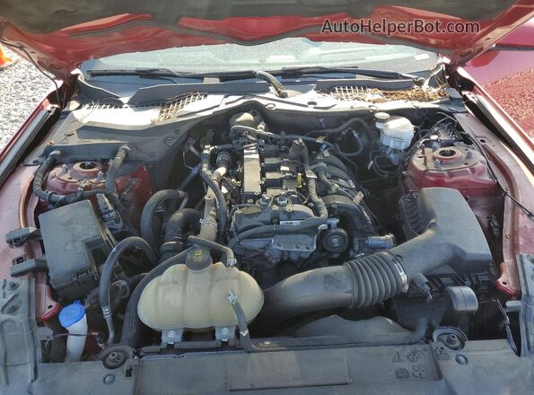1FA6P8TH8M5152757 2021 FORD MUSTANG Red Սալոնի հետևի տեսք