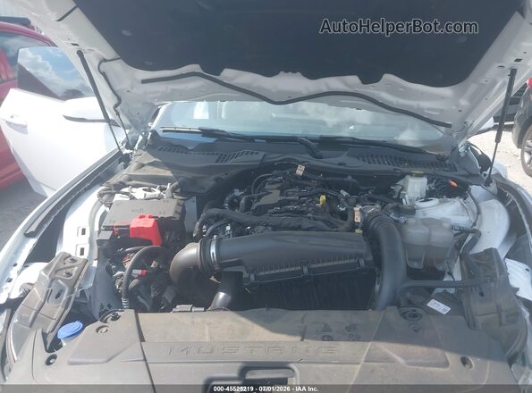 1FA6P8TH8R5121855 2024 FORD MUSTANG White Rear view