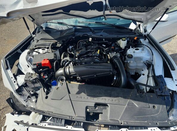 1FA6P8TH8S5110053 2025 FORD MUSTANG White Вид задньої частини салону