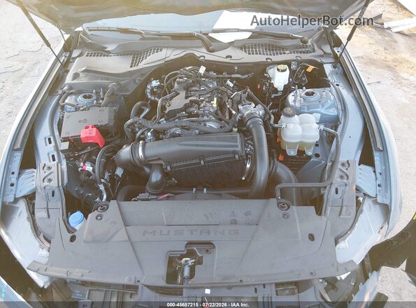 1FA6P8TH8T5101063 2026 FORD MUSTANG Gray უკანა ხედი