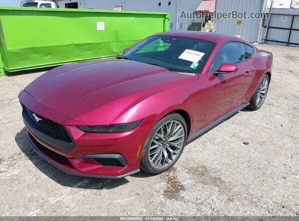 1FA6P8TH8T5116548 2026 FORD MUSTANG Maroon Front left