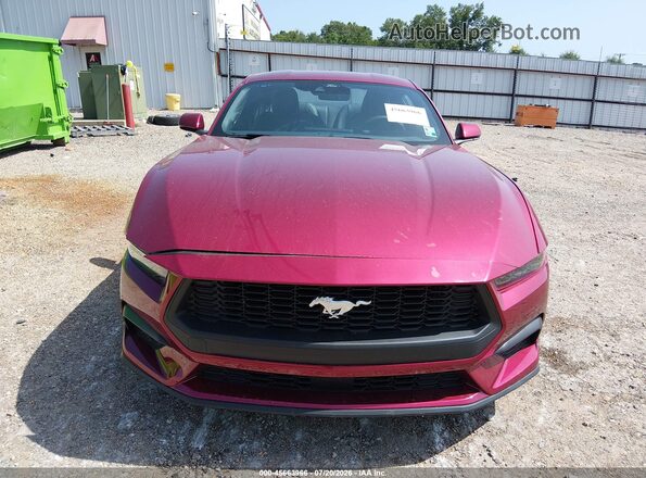 1FA6P8TH8T5116548 2026 FORD MUSTANG Maroon Rear interior view