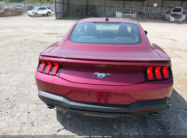 1FA6P8TH8T5116548 2026 FORD MUSTANG Maroon 