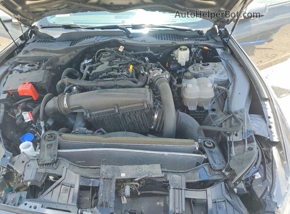 1FA6P8TH9R5124554 2024 FORD MUSTANG Charcoal Սալոնի հետևի տեսք