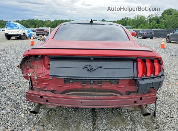 1FA6P8THXM5111496 2021 FORD MUSTANG Burgundy Вид ззаду