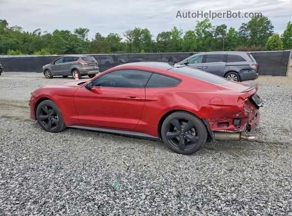 1FA6P8THXM5111496 2021 FORD MUSTANG Burgundy Задня ліва чверть