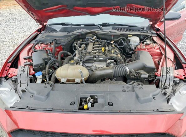 1FA6P8THXM5111496 2021 FORD MUSTANG Burgundy Вид задньої частини салону