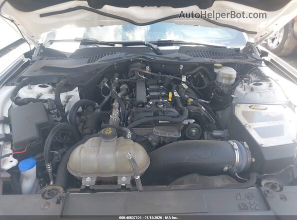 1FA6P8THXP5107436 2023 FORD MUSTANG White Widok z tyłu