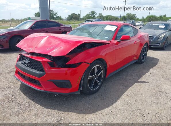 1FA6P8THXR5106631 2024 FORD MUSTANG Красный Передняя левая четверть