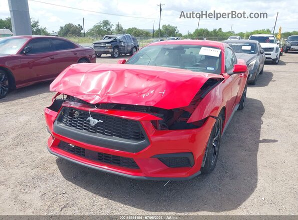 1FA6P8THXR5106631 2024 FORD MUSTANG Красный Вид спереди