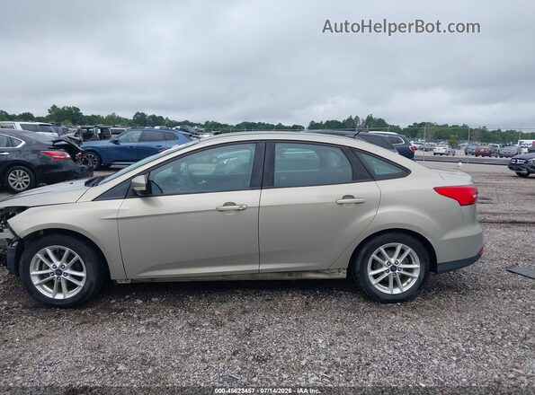 1FADP3F20GL300336 2016 FORD FOCUS Tan Սալոնի 360 աստիճան տեսք