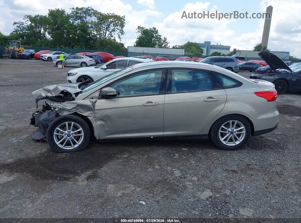 1FADP3F21GL210564 2016 FORD FOCUS Champagne Вид задньої частини салону