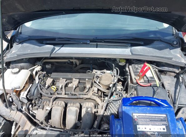 1FADP3F21GL262437 2016 FORD FOCUS Black Widok z tyłu
