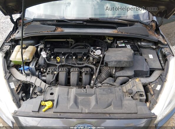 1FADP3F23GL399752 2016 FORD FOCUS Gray უკანა ხედი