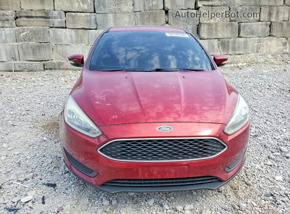 1FADP3F23HL209563 2017 FORD FOCUS Red Front view