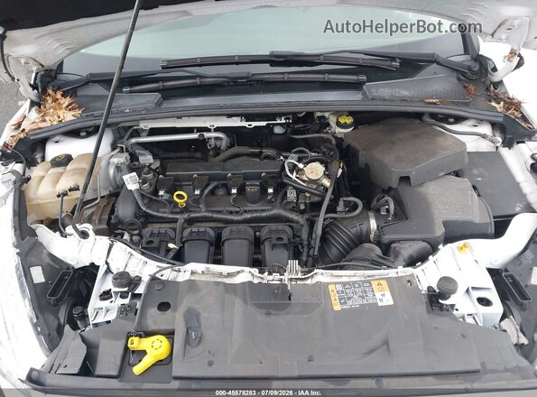 1FADP3F24GL381406 2016 FORD FOCUS White Հետևի տեսք