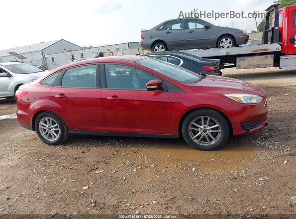 1FADP3F26GL280769 2016 FORD FOCUS Red Սալոնի հետևի տեսք