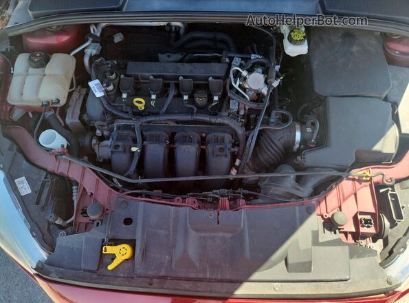 1FADP3F26HL341135 2017 FORD FOCUS Red Սալոնի հետևի տեսք