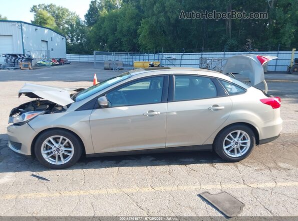 1FADP3F27GL232908 2016 FORD FOCUS Бежевый Панорамный вид салона 360°