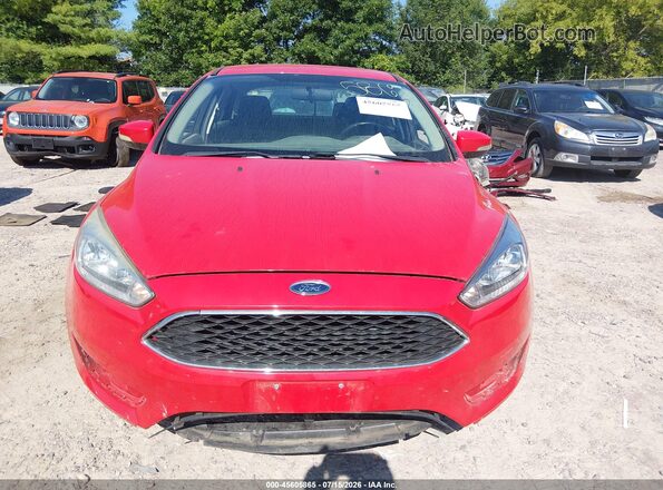 1FADP3F27GL275743 2016 FORD FOCUS Red Սալոնի հետևի տեսք