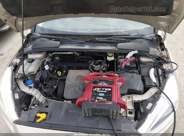 1FADP3F27HL229721 2017 FORD FOCUS Champagne Widok z tyłu