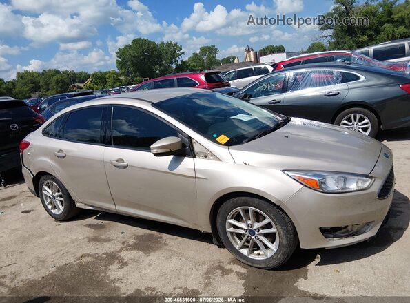 1FADP3F27HL324814 2017 FORD FOCUS Champagne Widok wnętrza z tyłu