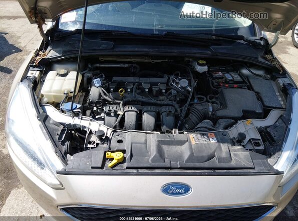 1FADP3F27HL324814 2017 FORD FOCUS Champagne Widok z tyłu