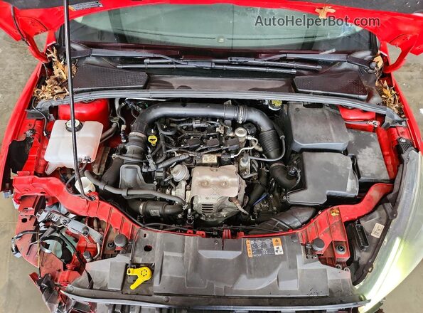 1FADP3FE9GL361033 2016 FORD FOCUS Красный Вид задней части салона