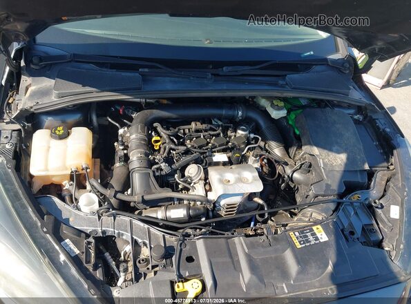 1FADP3FE9HL269504 2017 FORD FOCUS Gray უკანა ხედი