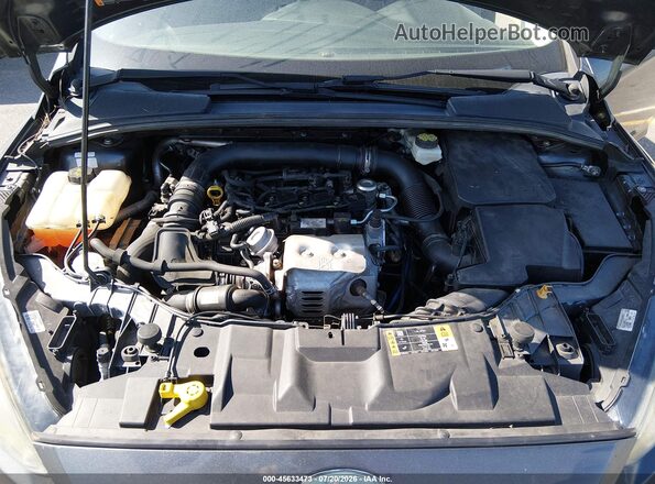1FADP3FE9HL309841 2017 FORD FOCUS Gray Widok z tyłu
