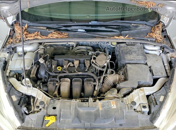 1FADP3K20GL277260 2016 FORD FOCUS Silver Սալոնի հետևի տեսք