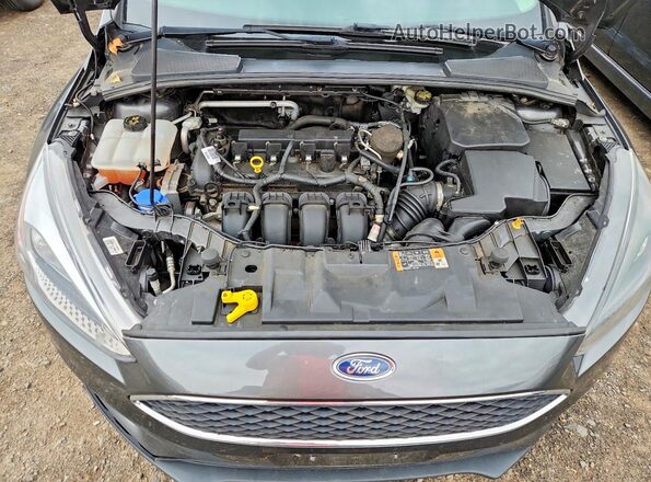 1FADP3K20GL292101 2016 FORD FOCUS Gray Widok wnętrza z tyłu