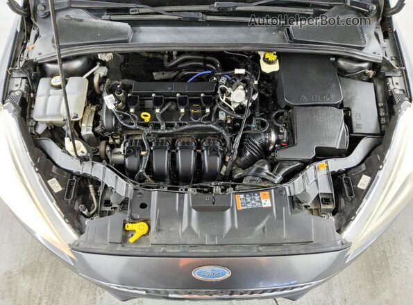 1FADP3K20HL232952 2017 FORD FOCUS Gray Rear interior view