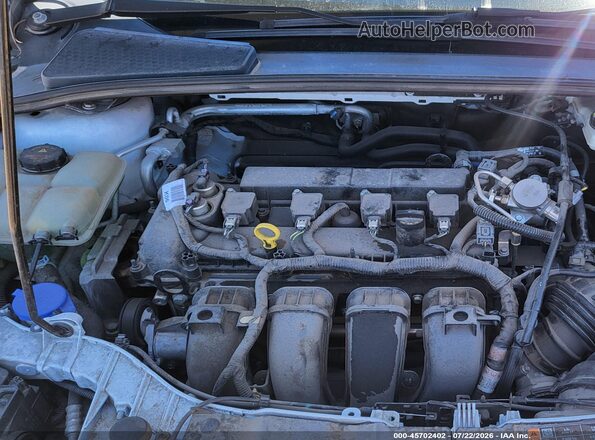 1FADP3K20HL299809 2017 FORD FOCUS Белый Вид сзади