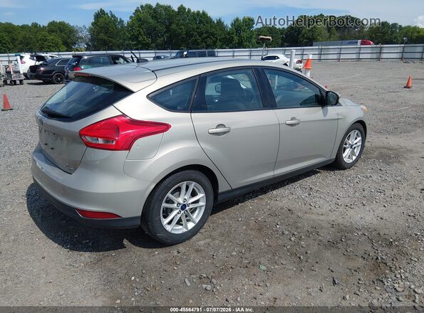 1FADP3K21GL256904 2016 FORD FOCUS Gold Հետևի աջ