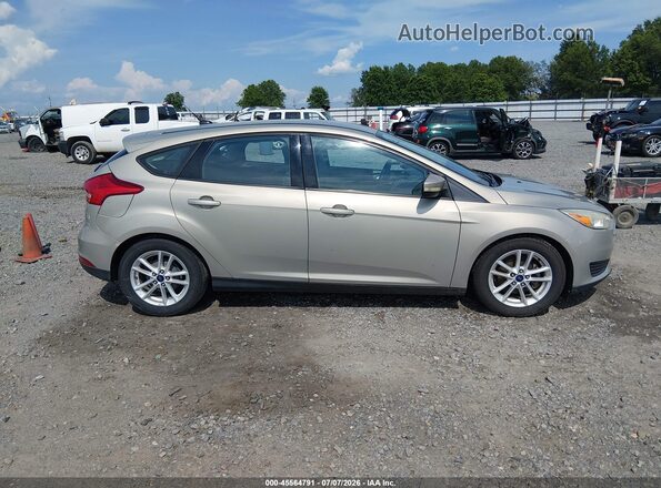 1FADP3K21GL256904 2016 FORD FOCUS Gold Սալոնի հետևի տեսք