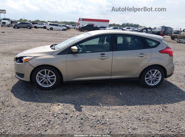 1FADP3K21GL256904 2016 FORD FOCUS Gold Սալոնի 360 աստիճան տեսք