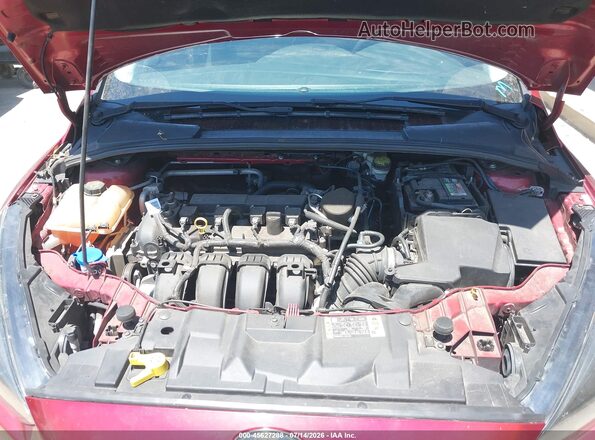 1FADP3K22GL238704 2016 FORD FOCUS Red უკანა ხედი